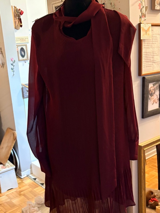 Dresses & Skirts - Women's Pleated Long-Sleeve Dress with Neck Tie - Burgundy